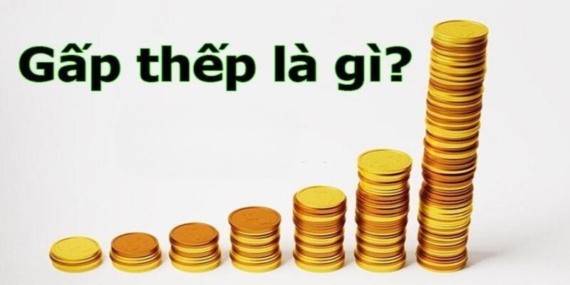 Khám phá lối chơi cược gấp thếp