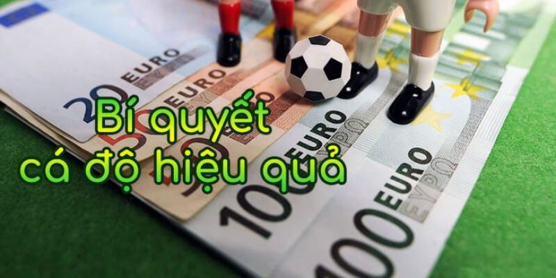 Cần lựa chọn một nhà cái uy tín trước khi tham gia cá cược